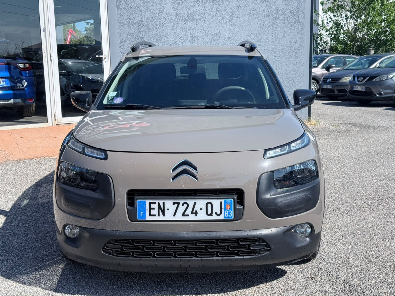 C4 CACTUS