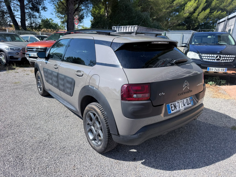C4 CACTUS
