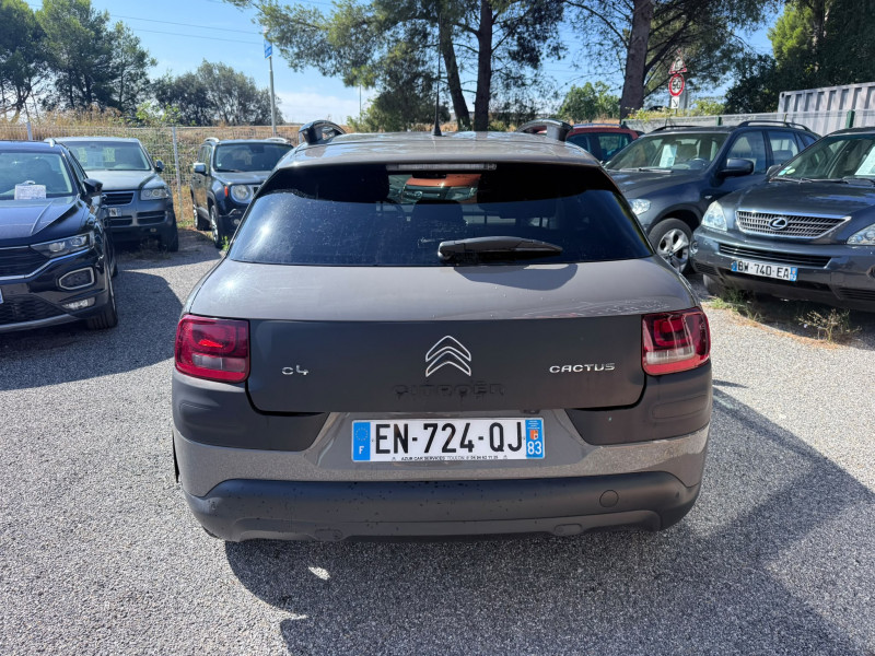 C4 CACTUS