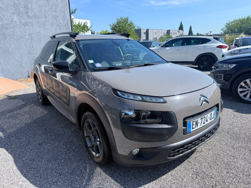 C4 CACTUS