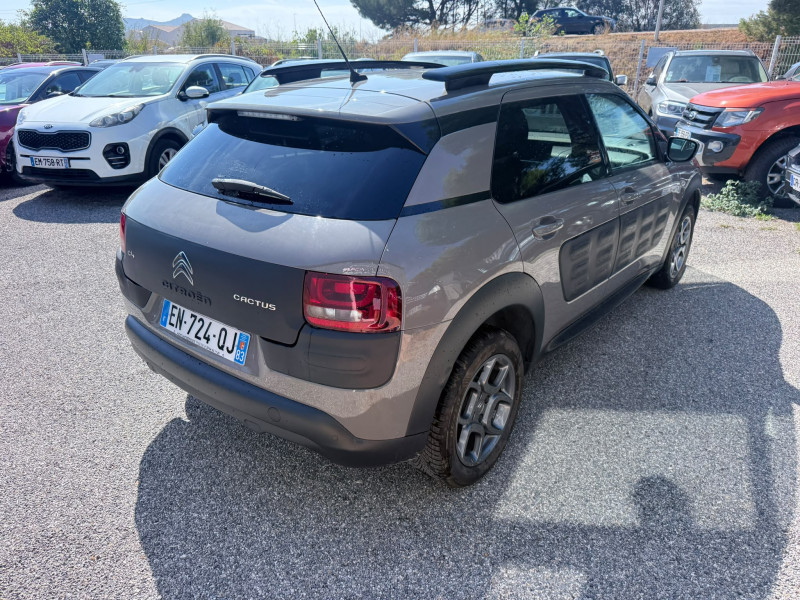 C4 CACTUS