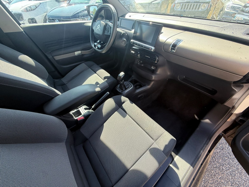C4 CACTUS