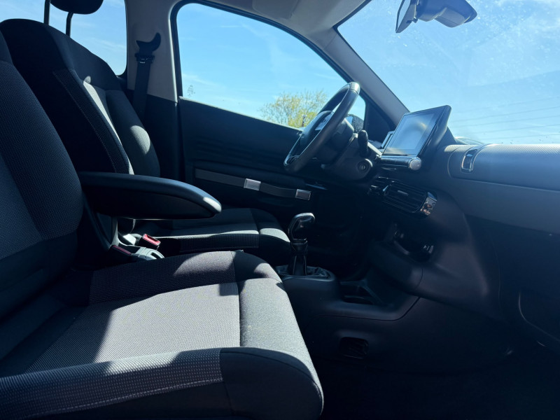 C4 CACTUS