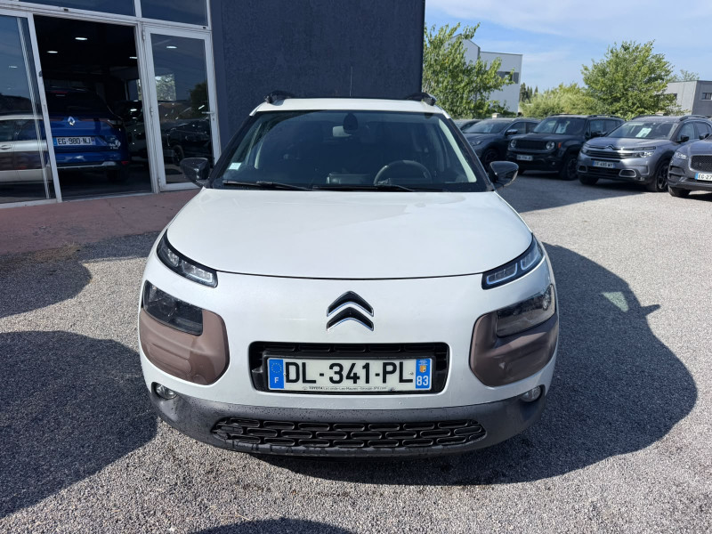 C4 CACTUS