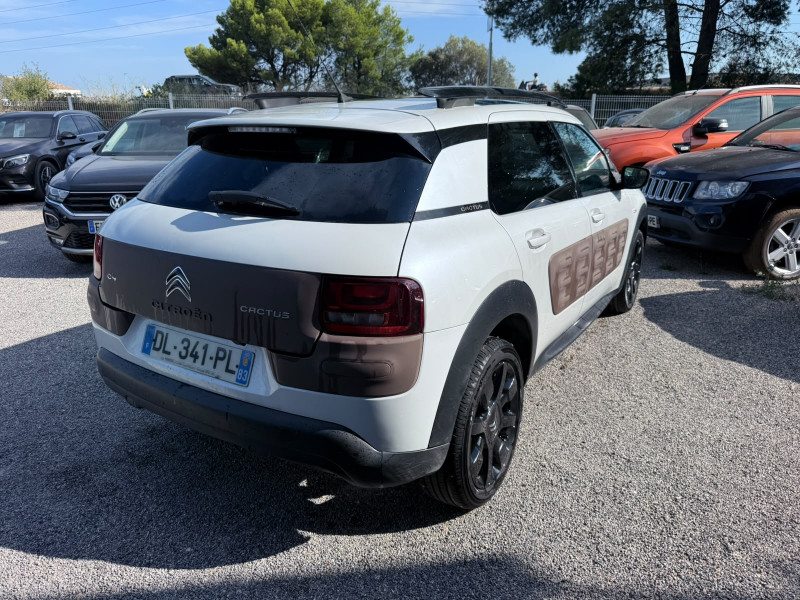 C4 CACTUS