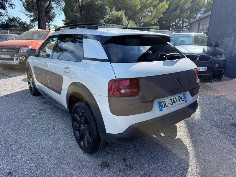 C4 CACTUS