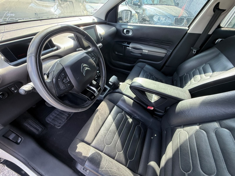C4 CACTUS