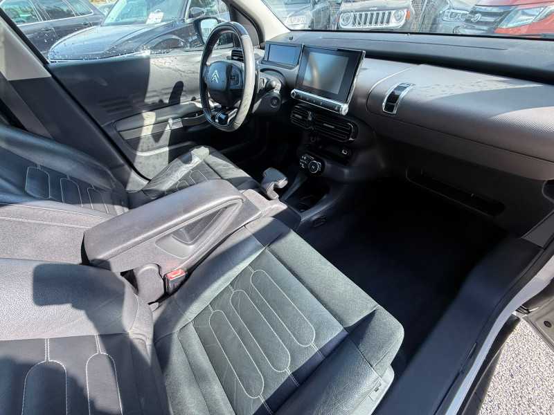 C4 CACTUS