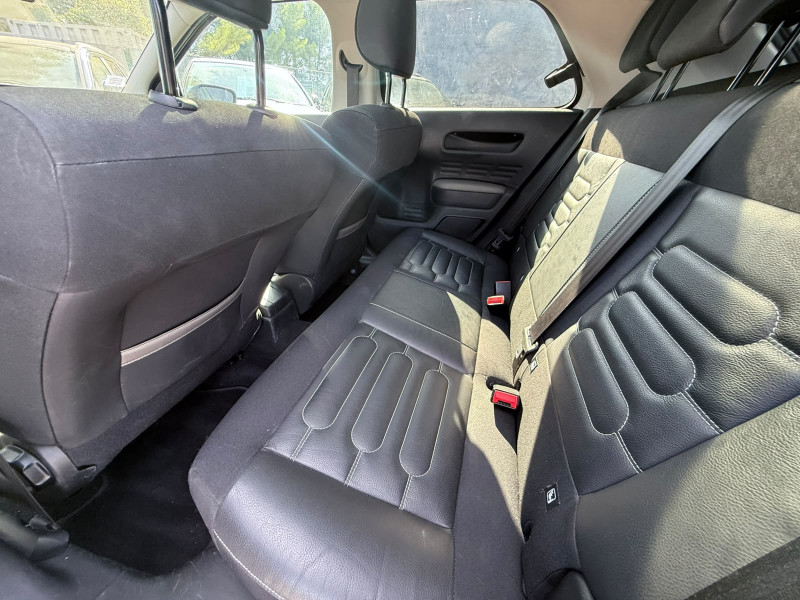 C4 CACTUS