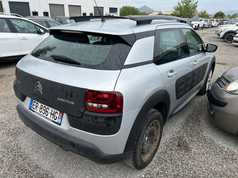 C4 CACTUS