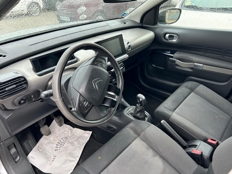 C4 CACTUS