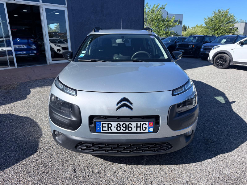 C4 CACTUS