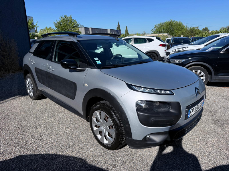 C4 CACTUS
