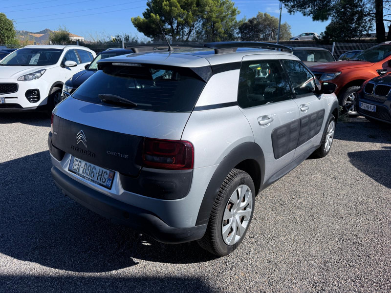C4 CACTUS