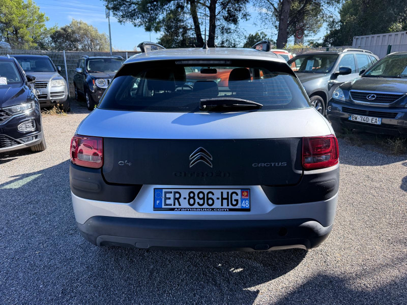 C4 CACTUS