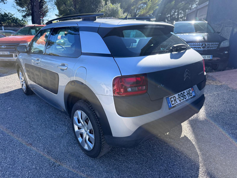 C4 CACTUS
