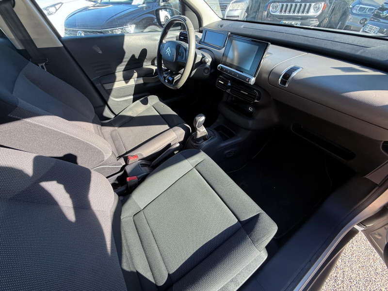 C4 CACTUS