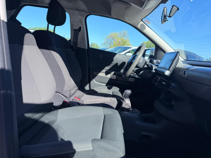 C4 CACTUS